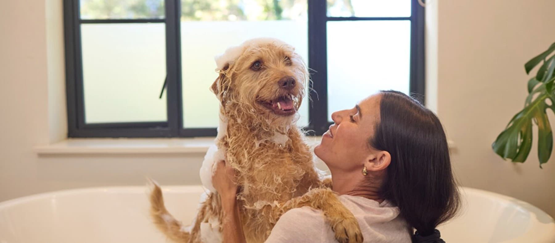 Une femme lave un chien beige dans une baignoire, le chien halète
