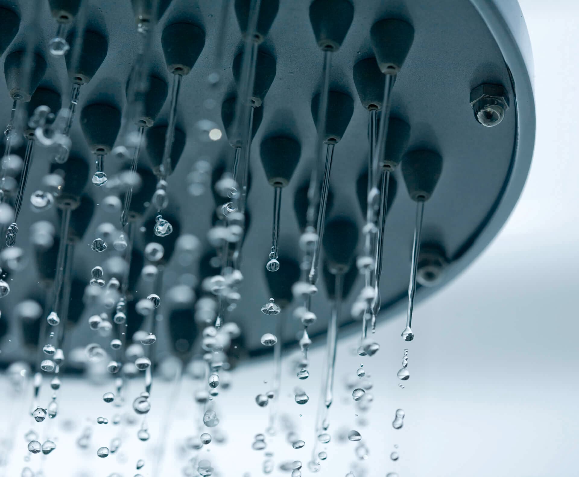 Des gouttes d'eau tombent d'une pomme de douche