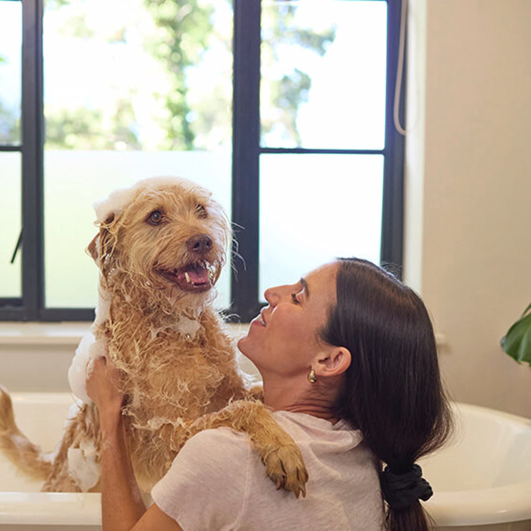 Femme qui lave un chien | Vaillant