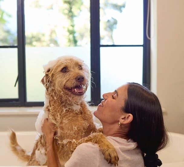 Een vrouw is een hond aan het wassen