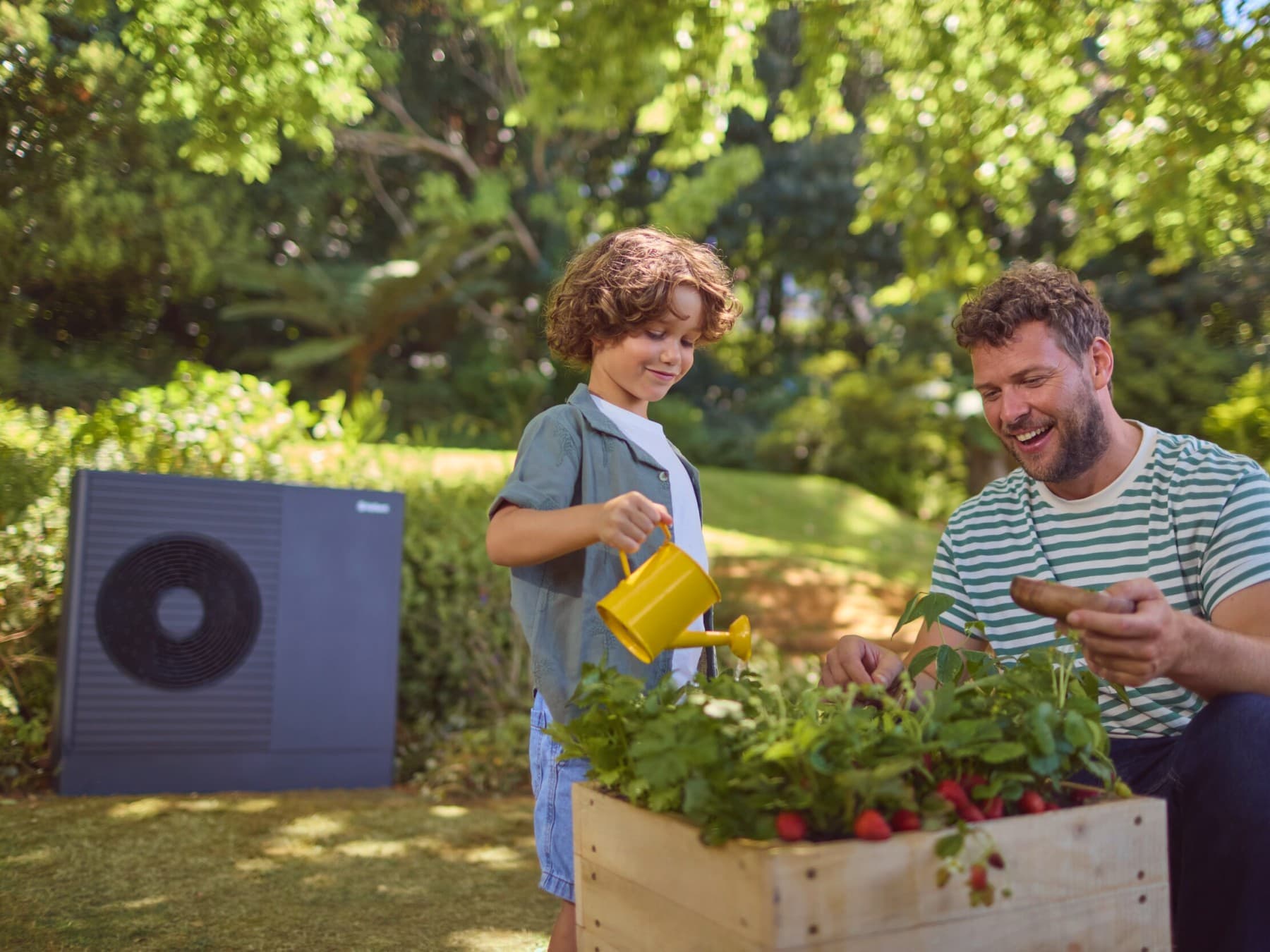 Père et fils arrosent les fraises dans le jardin