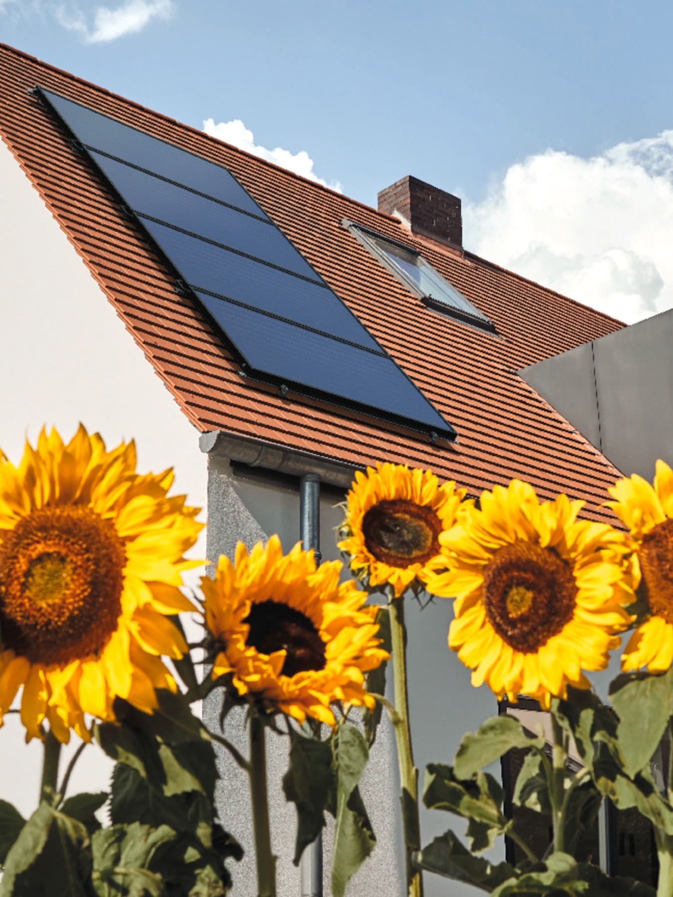 Des panneaux solaires sur un toit, avec des tournesols en arrière-plan